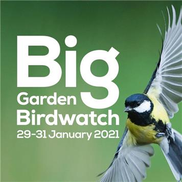  - Big Garden Birdwatch 2021